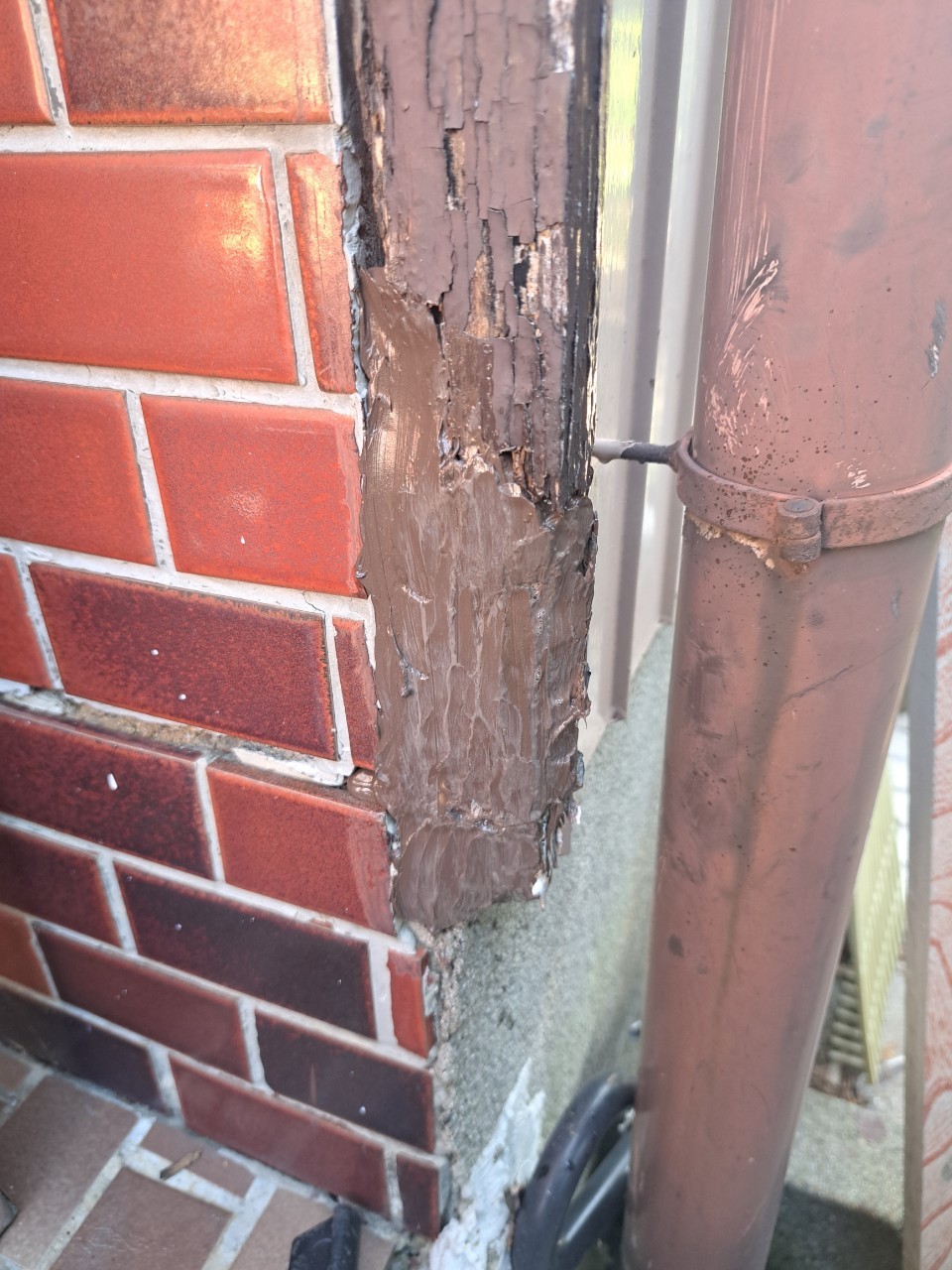 佐賀県佐賀市　ネズミによる被害　S様邸　駆除実績