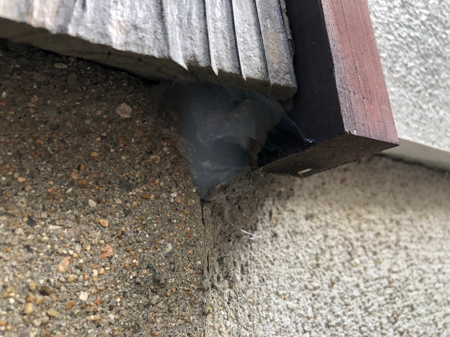 佐賀県鳥栖市　イタチによる被害　K様邸　駆除実績