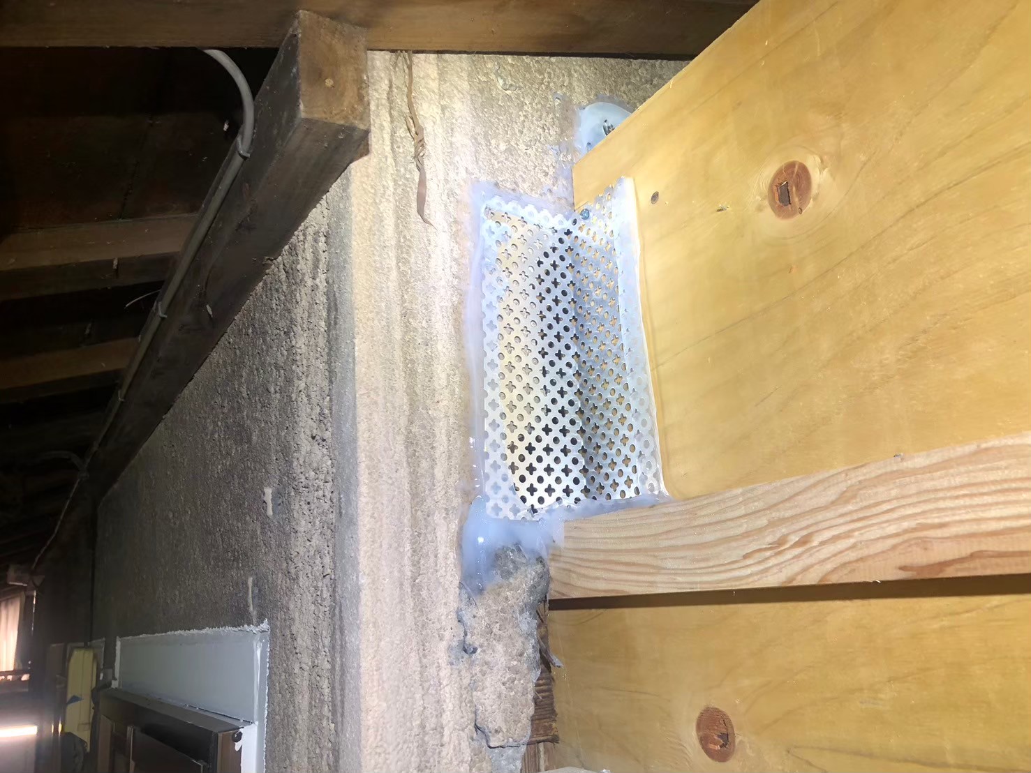 福岡県筑後市　アライグマによる被害　H様邸　駆除実績