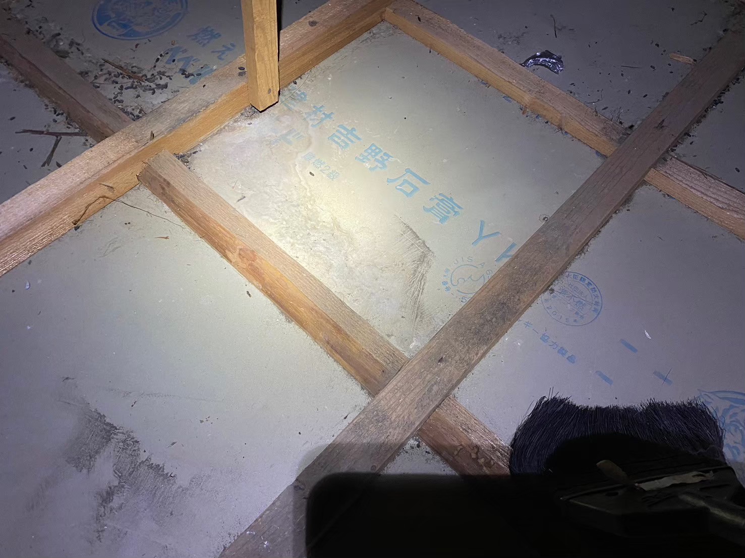 福岡県飯塚市　ネズミによる被害　M様邸　駆除実績