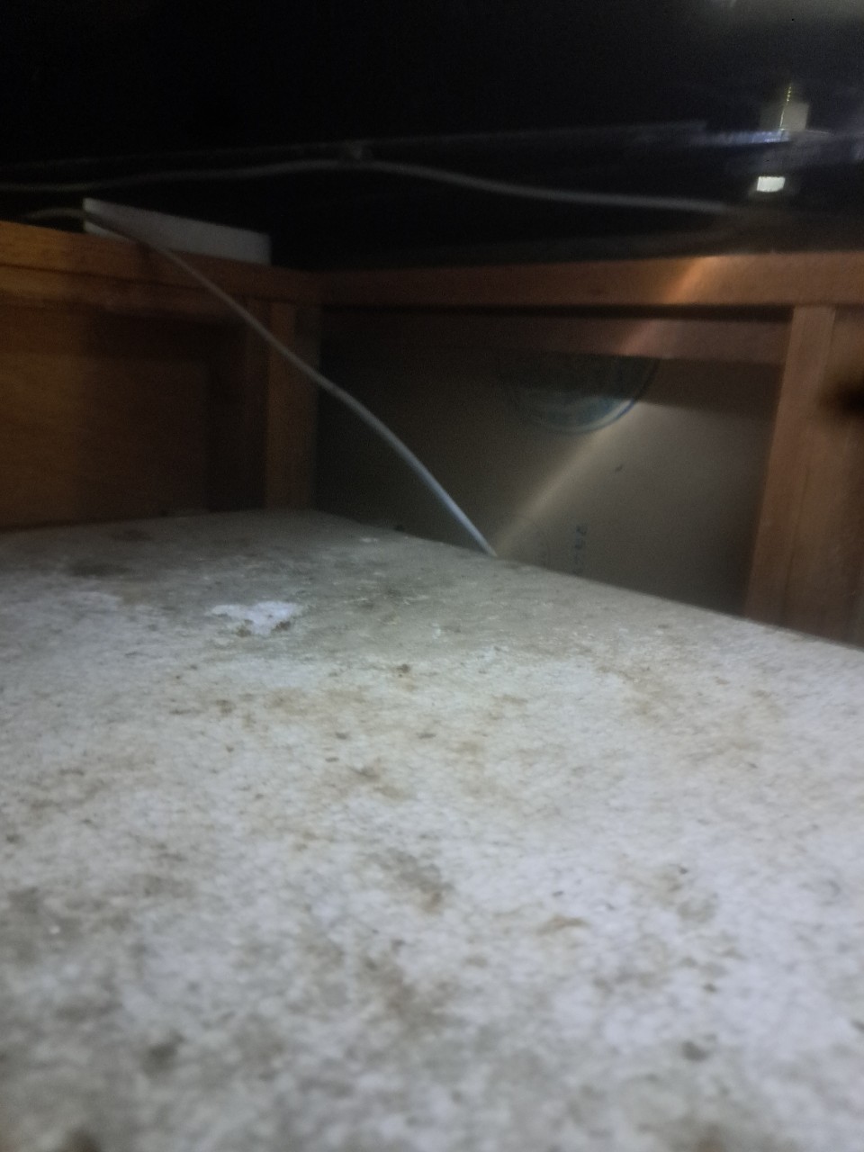 佐賀県小城市　イタチによる被害　U様邸　駆除実績