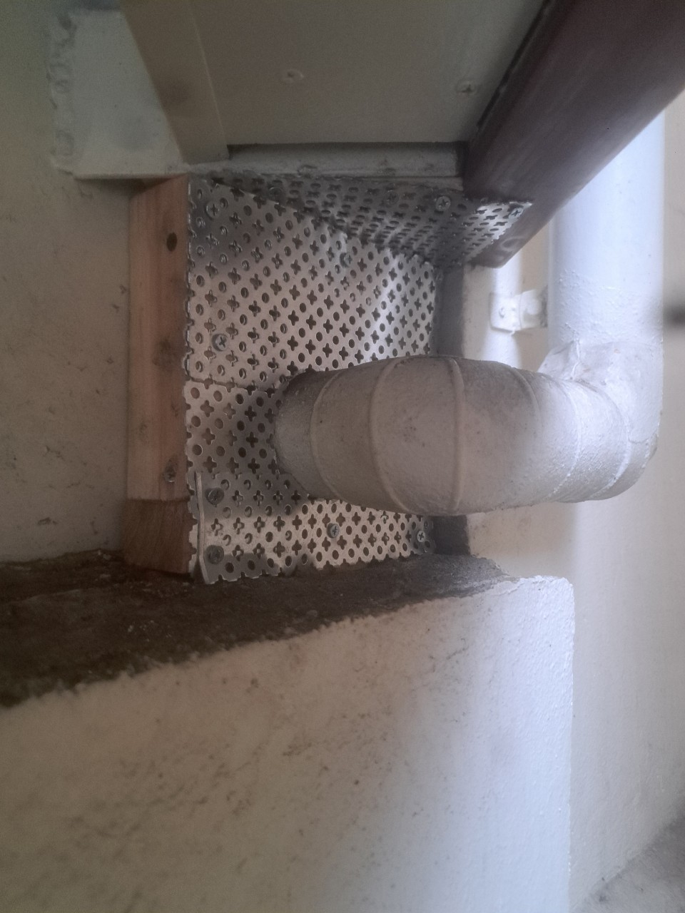 佐賀県佐賀市　アライグマによる被害　T様邸　駆除実績