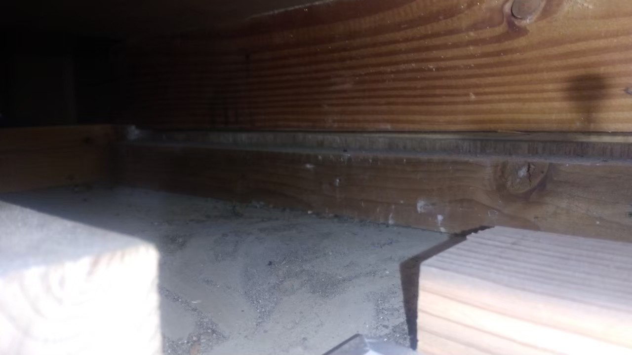 アライグマによる被害　M様邸　駆除実績