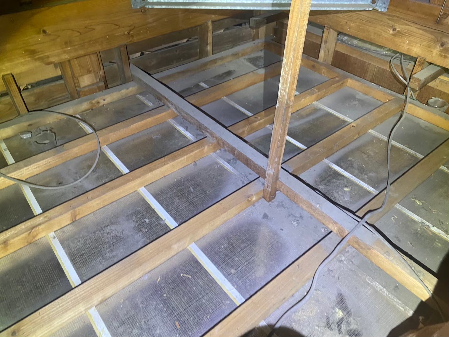 佐賀県唐津市　イタチによる被害　N様邸　駆除実績