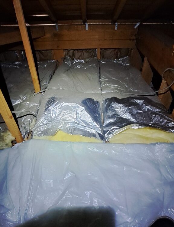 福岡県飯塚市　アライグマによる被害　S様邸　駆除実績