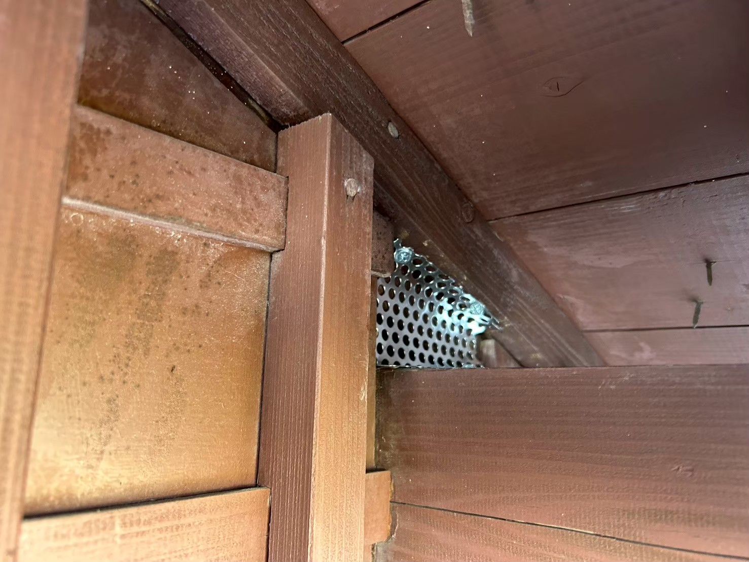 佐賀県神崎市　イタチによる被害　E様邸　駆除実績