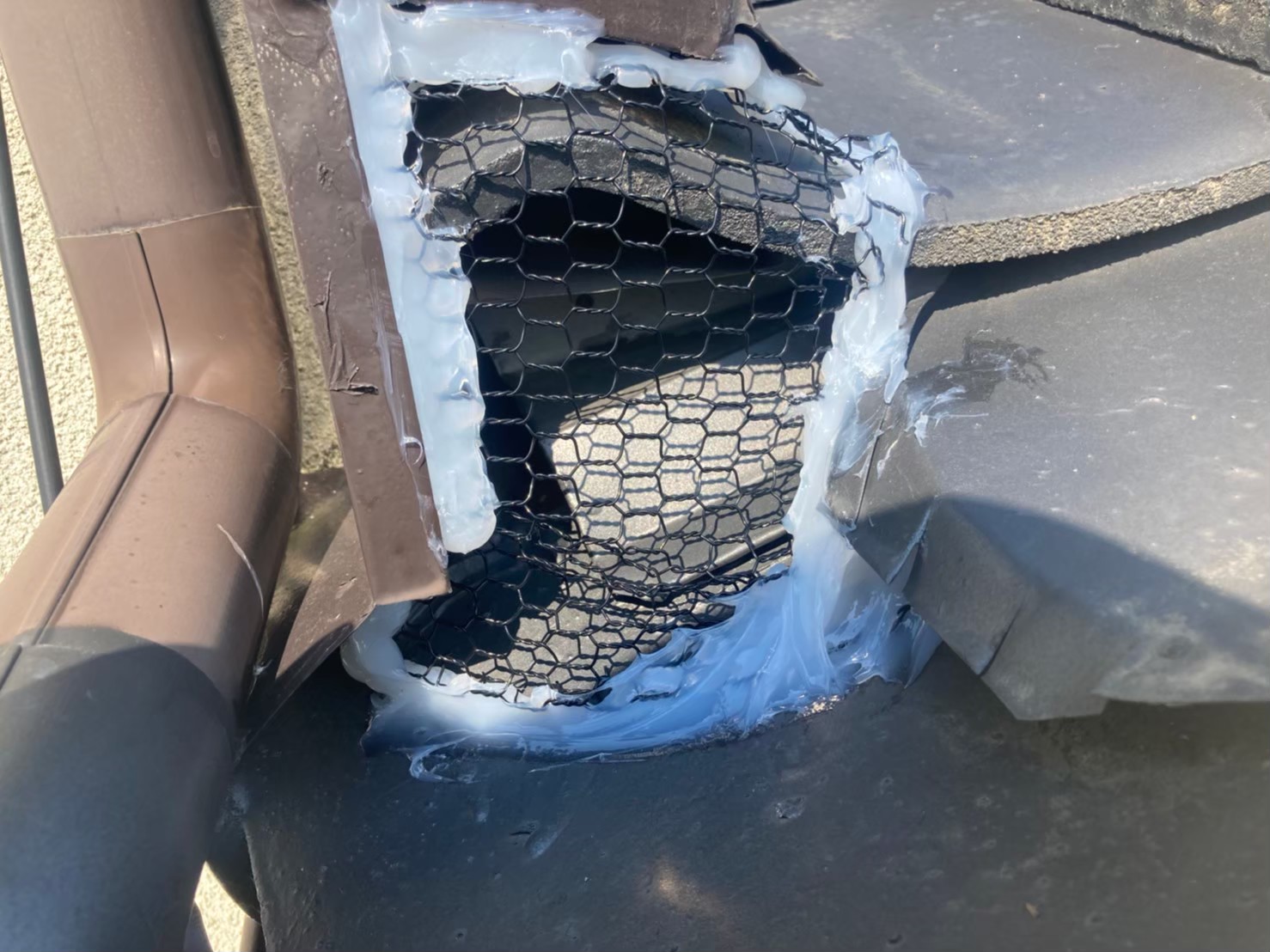 佐賀県武雄市　ネズミによる被害　K様邸　駆除実績