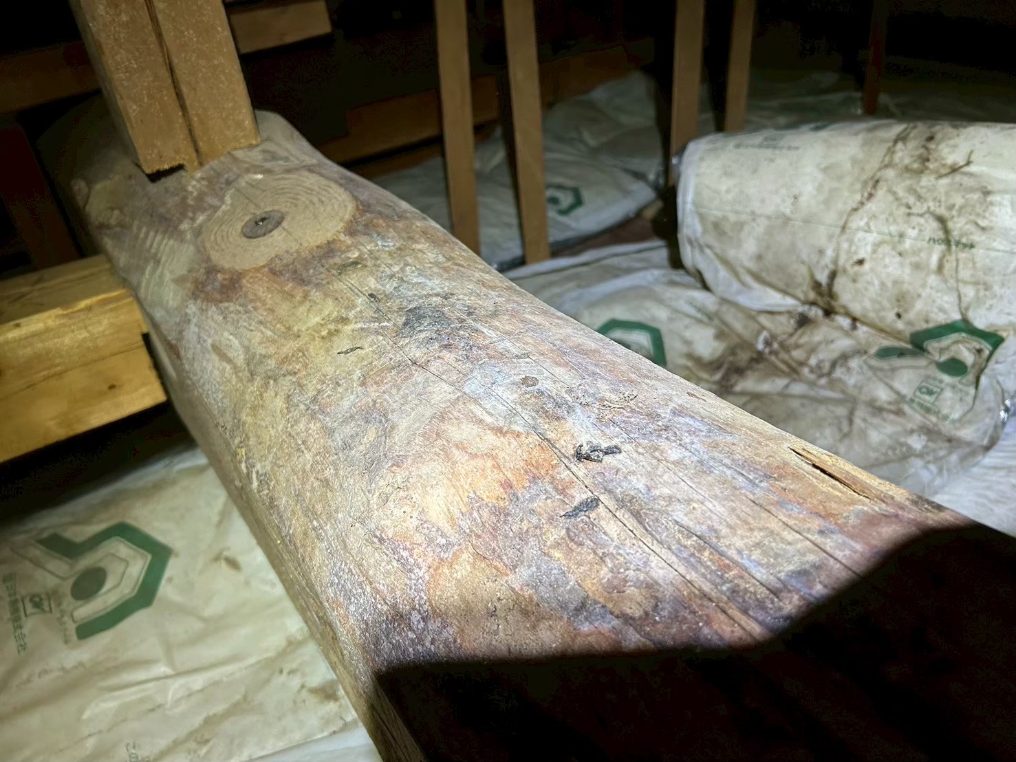 佐賀県多久市　イタチによる被害　B様邸　駆除実績