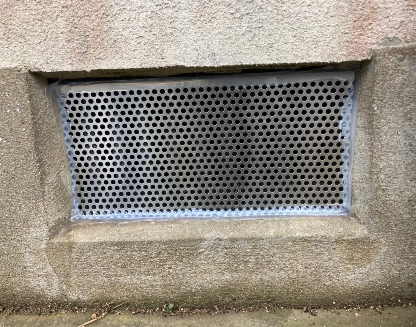 イタチによる被害　Y様邸　駆除実績