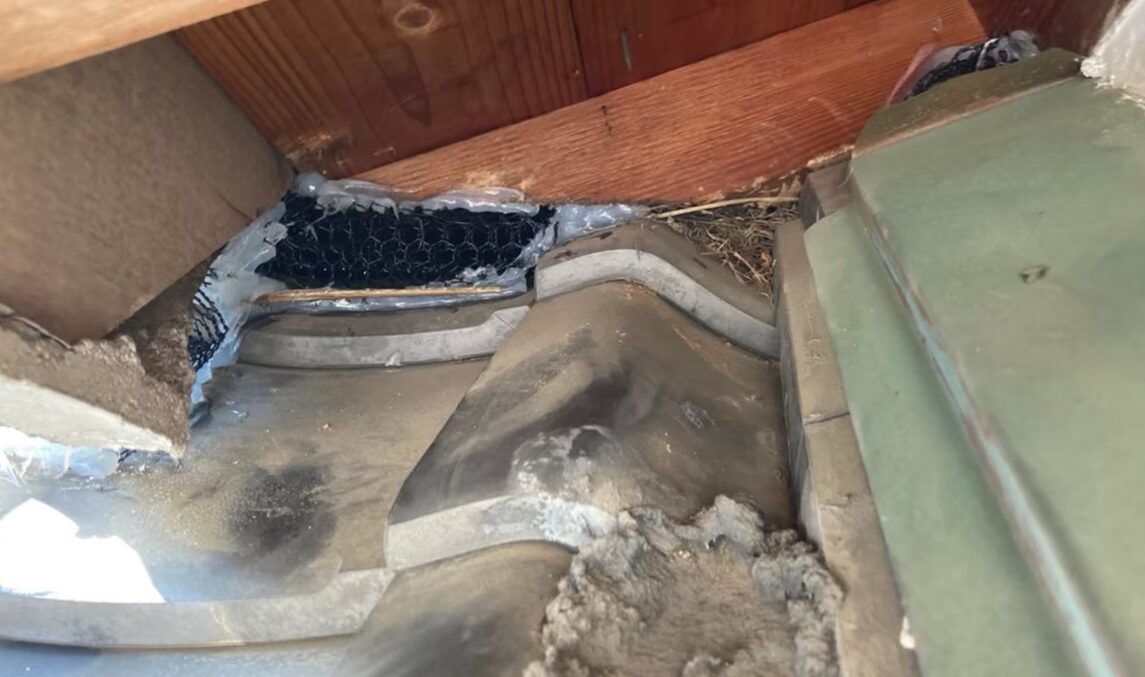 イタチによる被害　H様邸　駆除実績