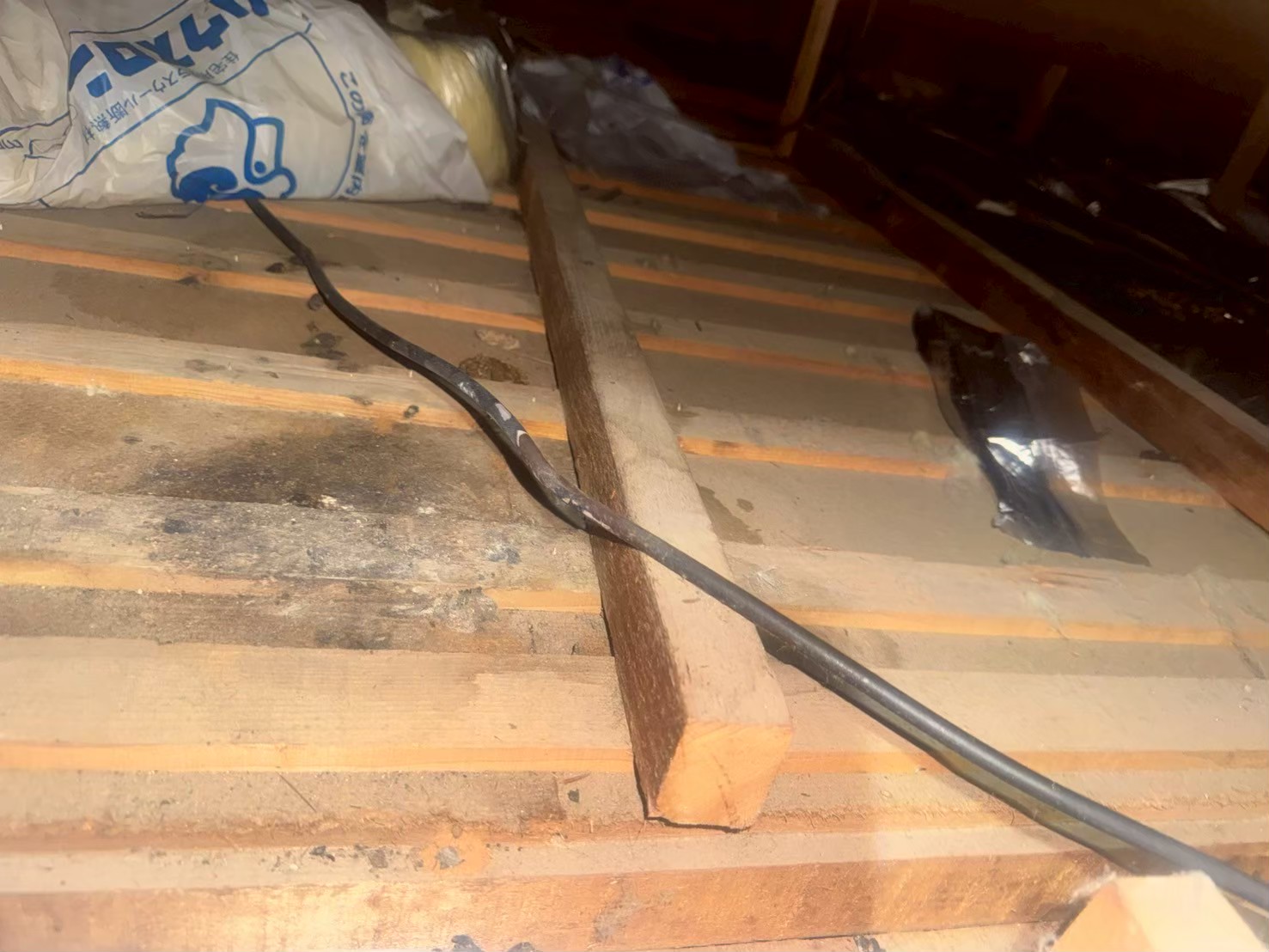 福岡県うきは市　アライグマによる被害　J様邸　駆除実績