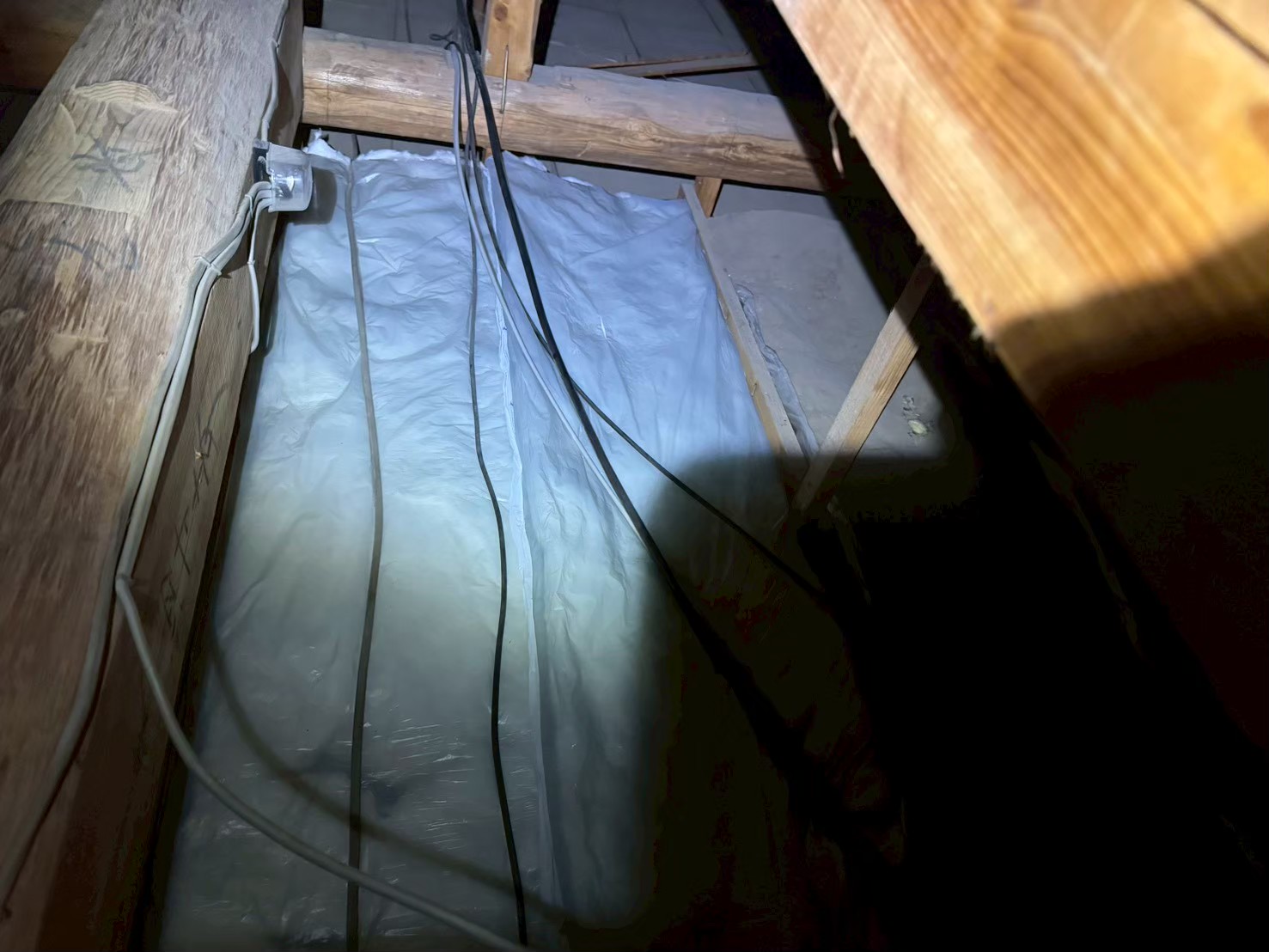 福岡県宗像市　ネズミによる被害　O様邸　駆除実績