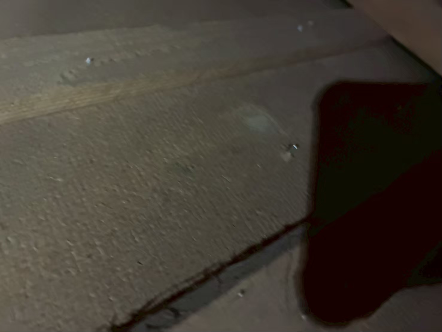 佐賀県多久市　ネズミによる被害　T様邸　駆除実績