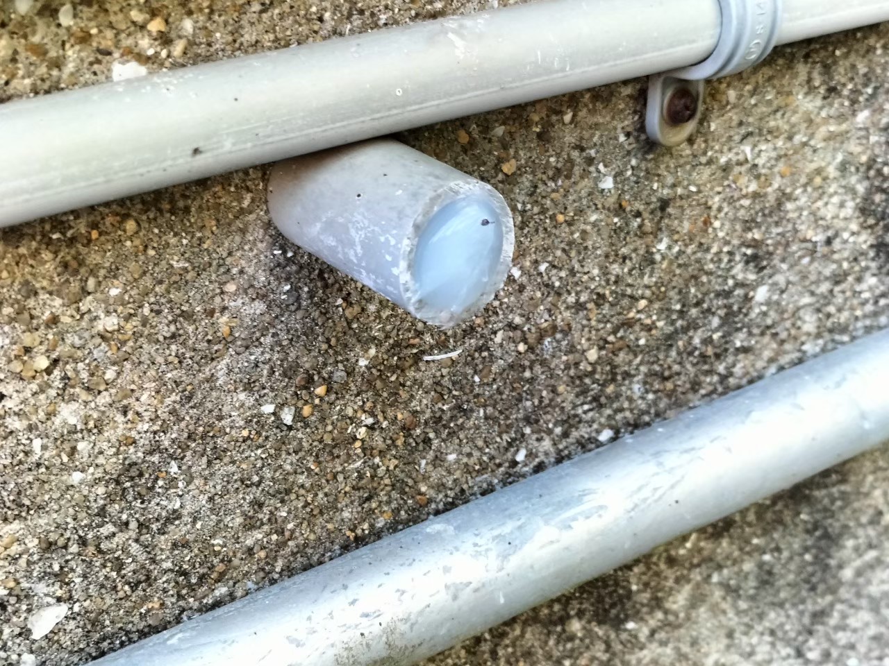 佐賀県伊万里市　ネズミによる被害　J様邸　駆除実績