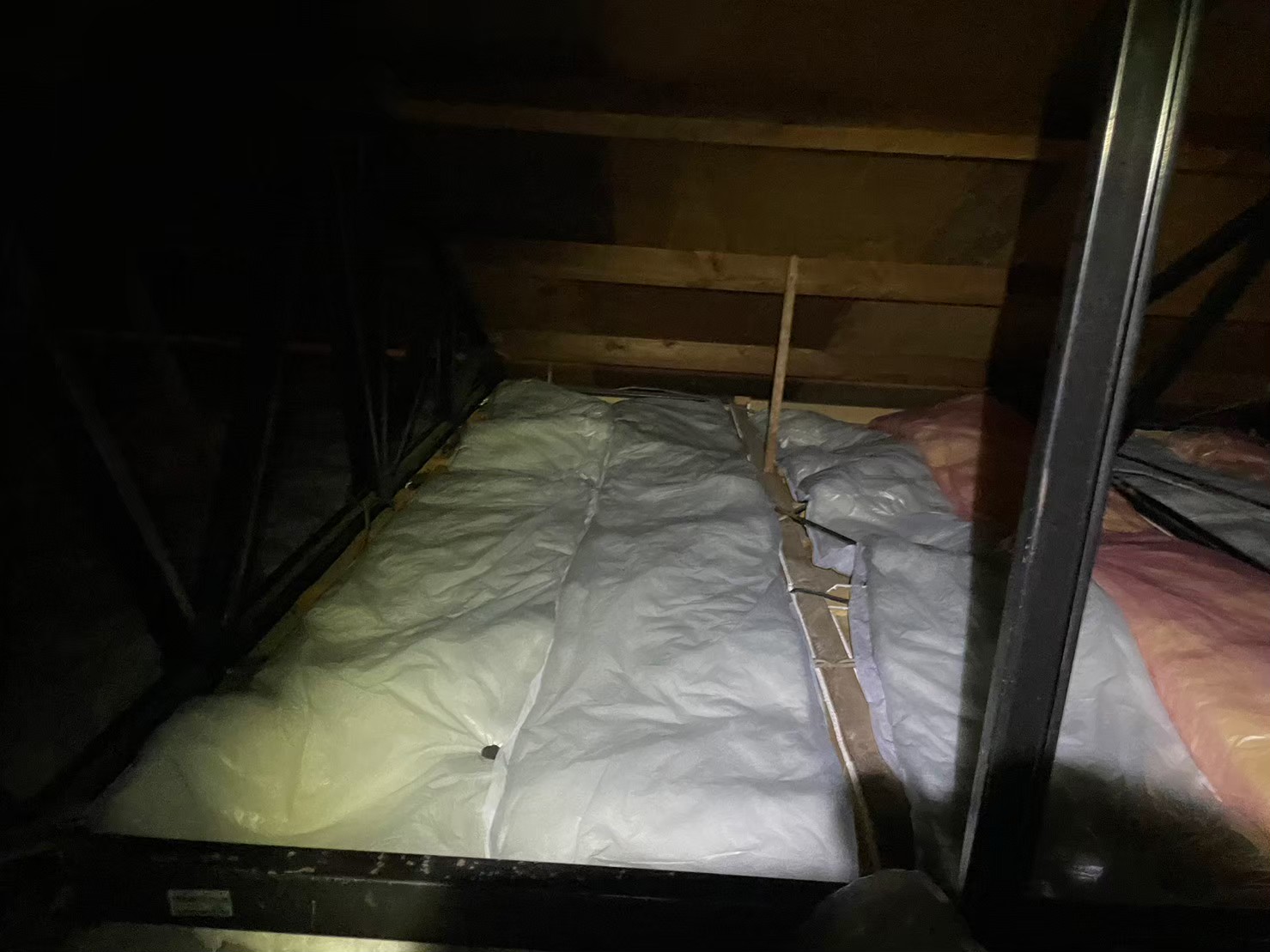 佐賀県基山町　ネズミによる被害　Y様邸　駆除実績