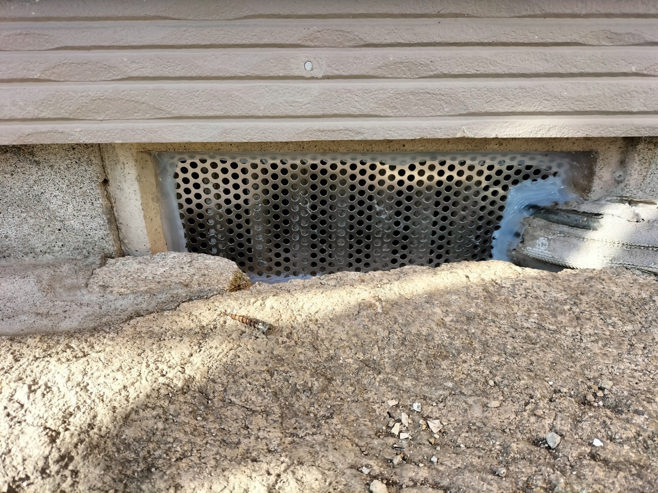 佐賀県有田町　アライグマによる被害　K様邸　駆除実績