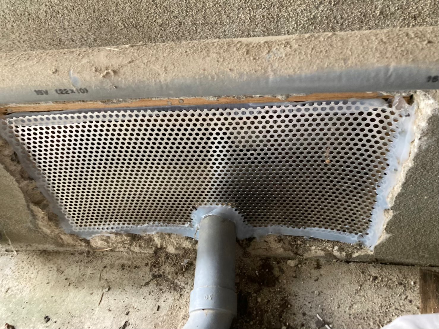 イタチによる被害　T様邸　駆除実績