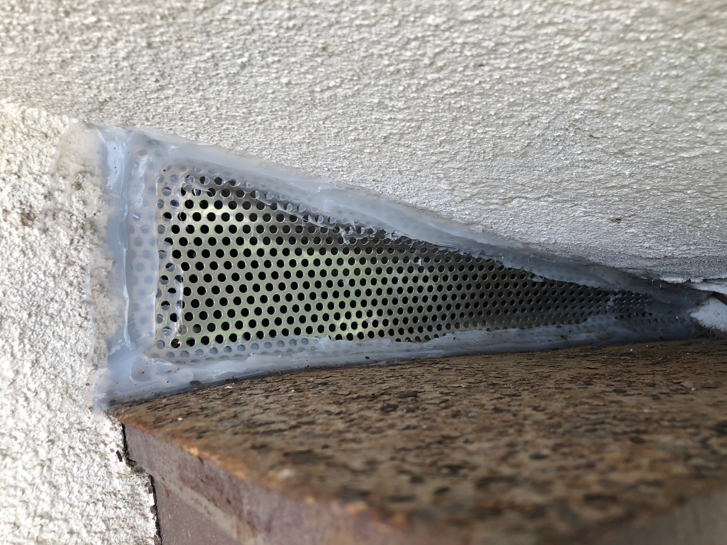 福岡県北九州市　イタチによる被害　M様邸　駆除実績