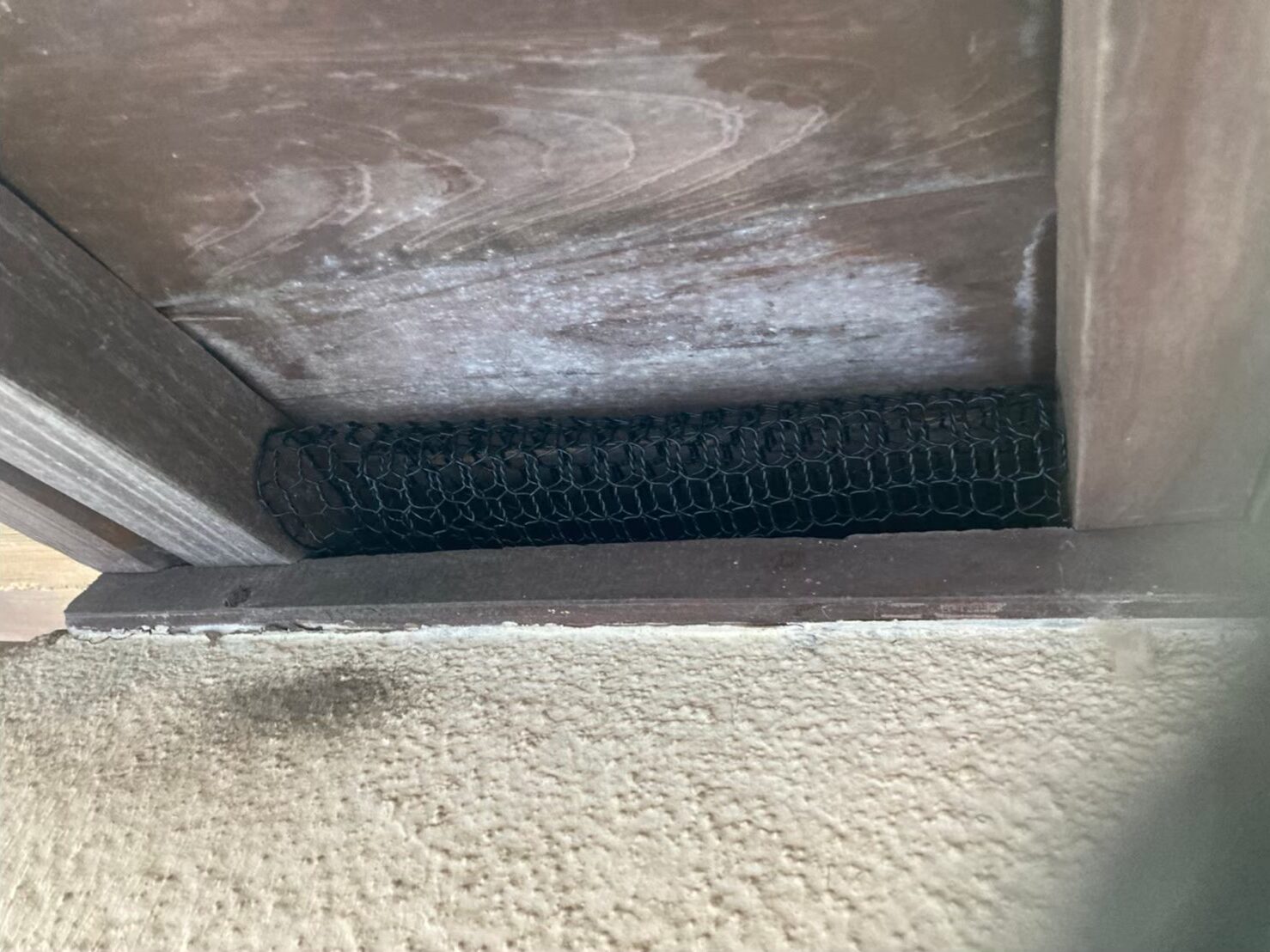 ネズミによる被害　A様邸　駆除実績