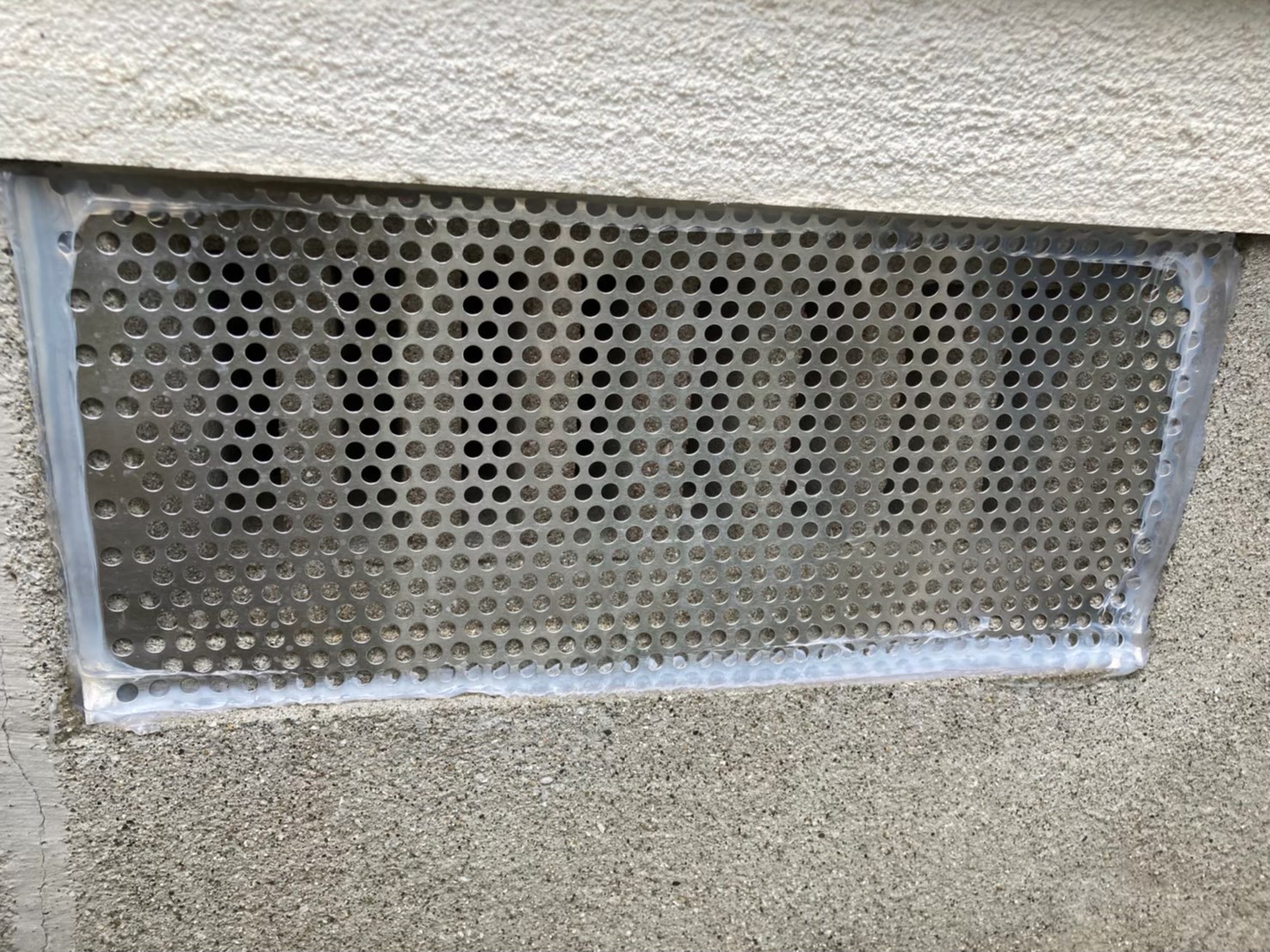 イタチによる被害　N様邸　駆除実績