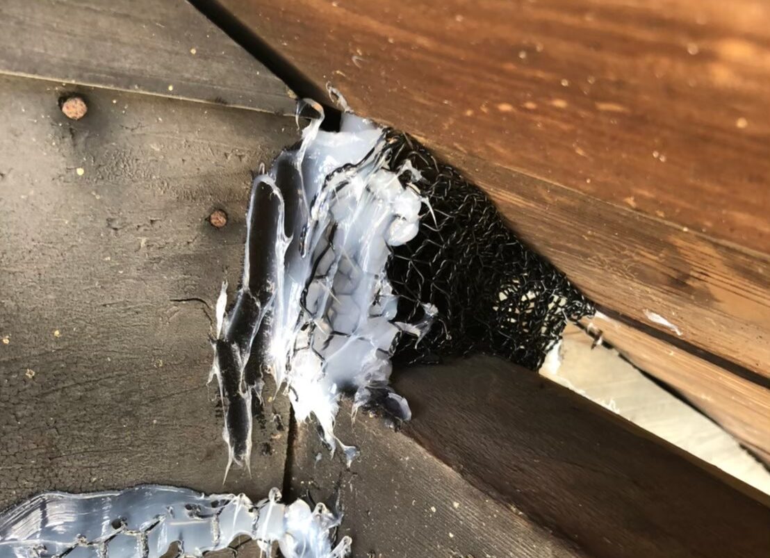 イタチによる被害　H様邸　駆除実績