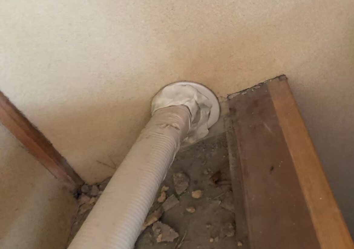 ネズミによる被害　K様邸　駆除実績