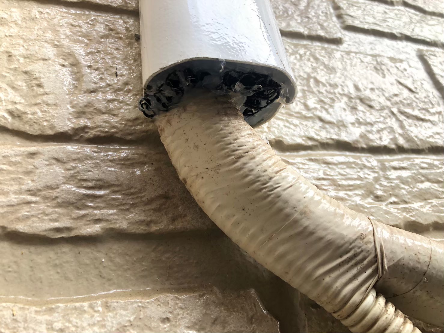 コウモリによる被害　O様邸　駆除実績