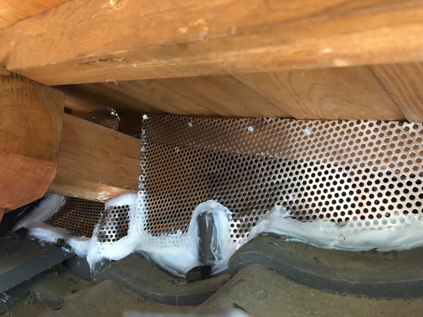 ネズミ・イタチによる被害　T様邸　駆除実績