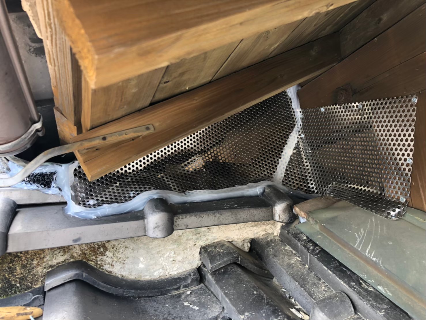 アライグマによる被害　Y様邸　駆除実績