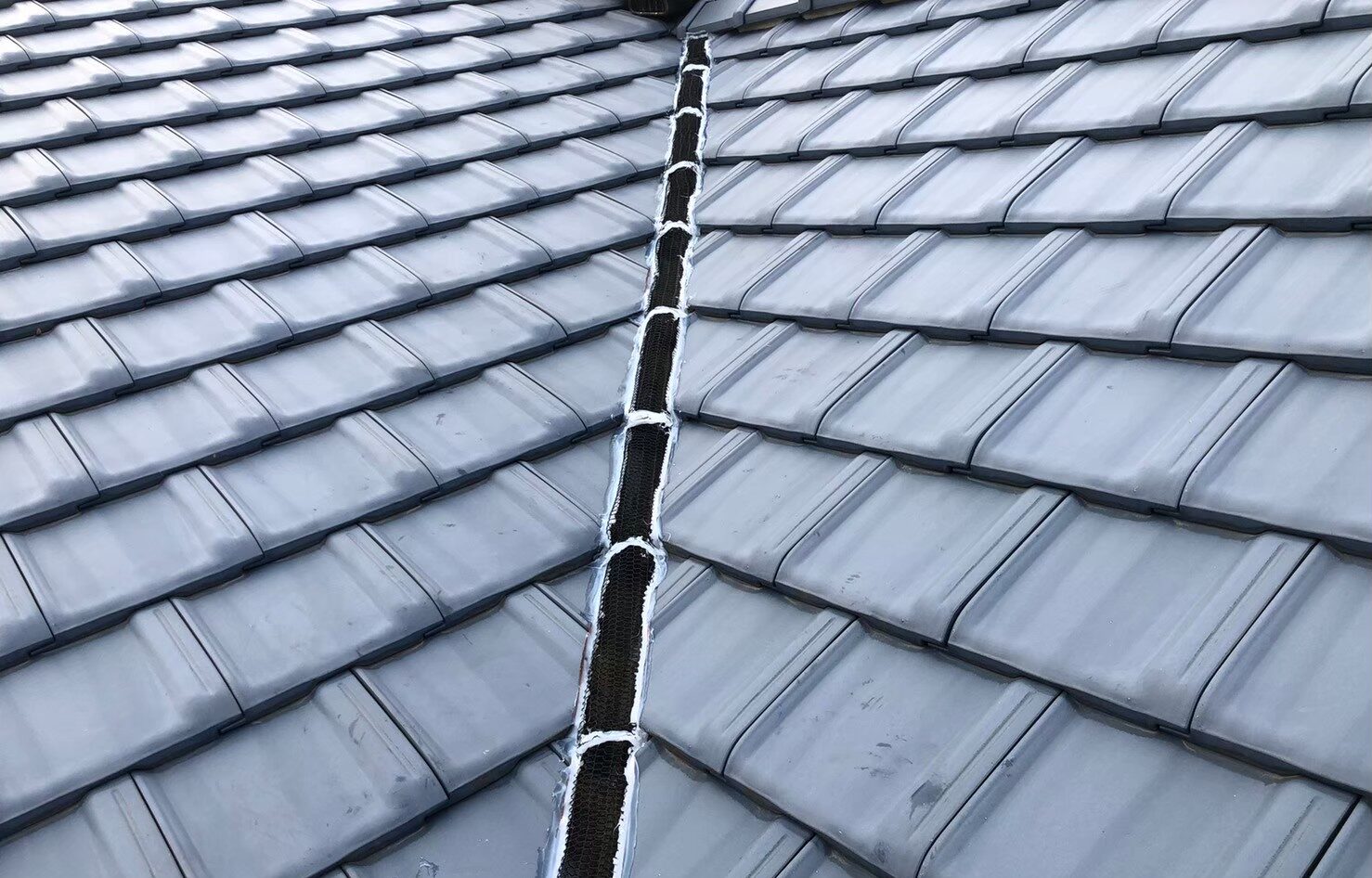 イタチによる被害　A様邸　駆除実績