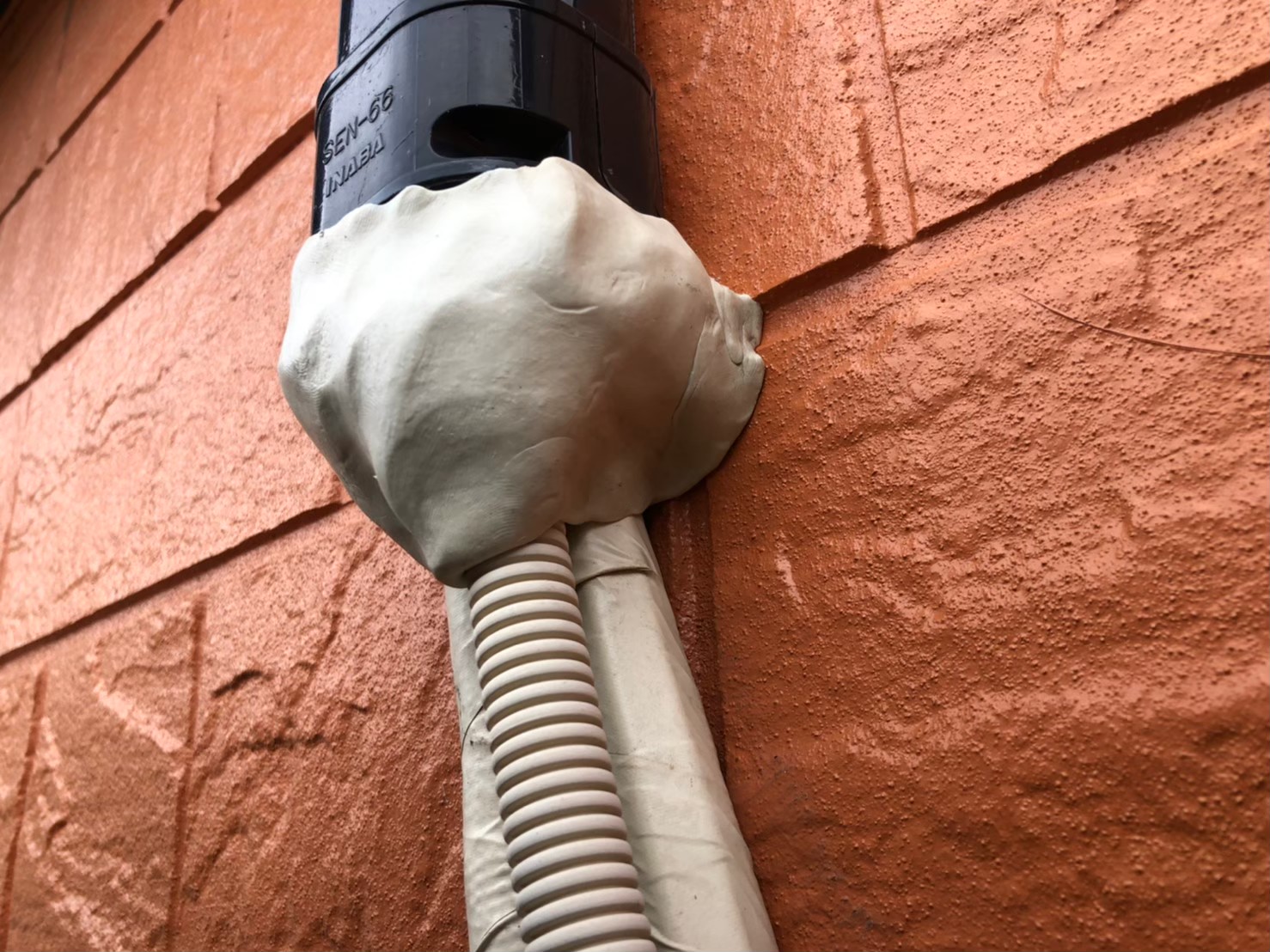 ネズミによる被害　M様邸　駆除実績