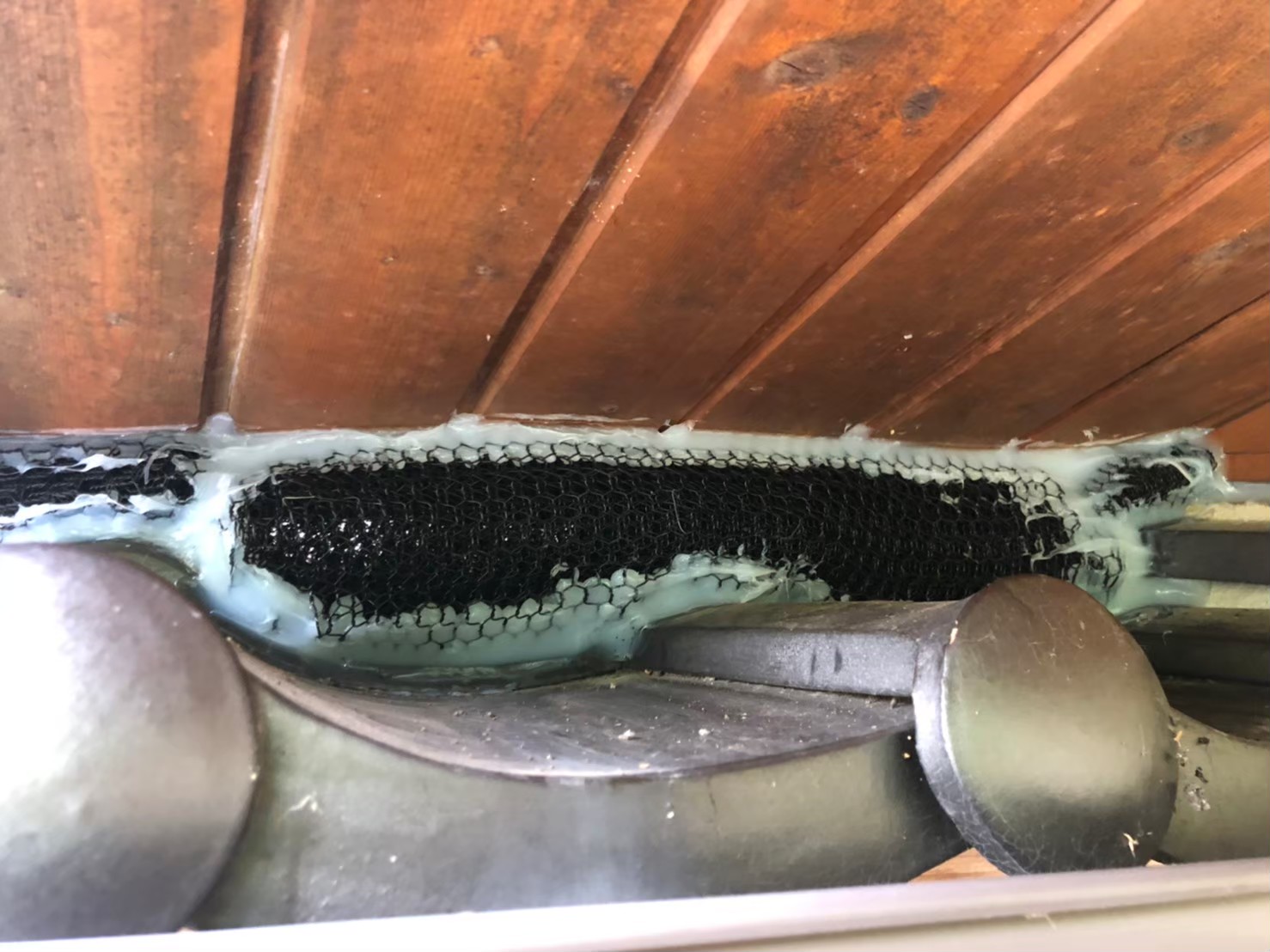 イタチ・アライグマによる被害　H様邸　駆除実績