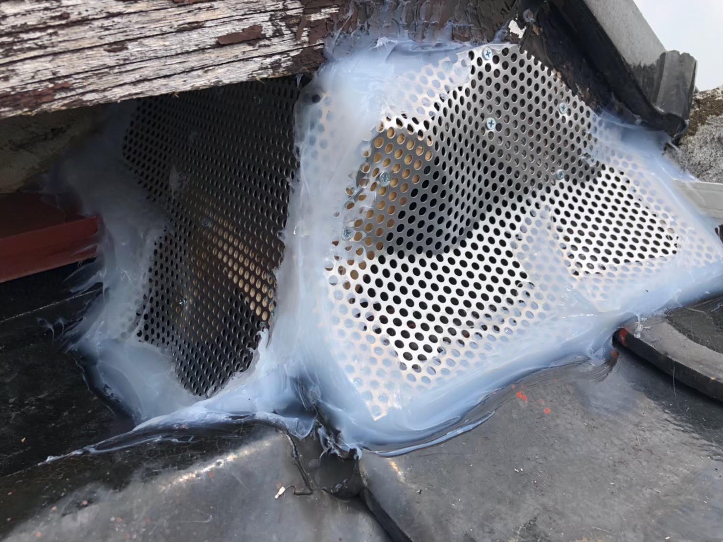 ネズミ・アライグマによる被害　S様邸　駆除実績