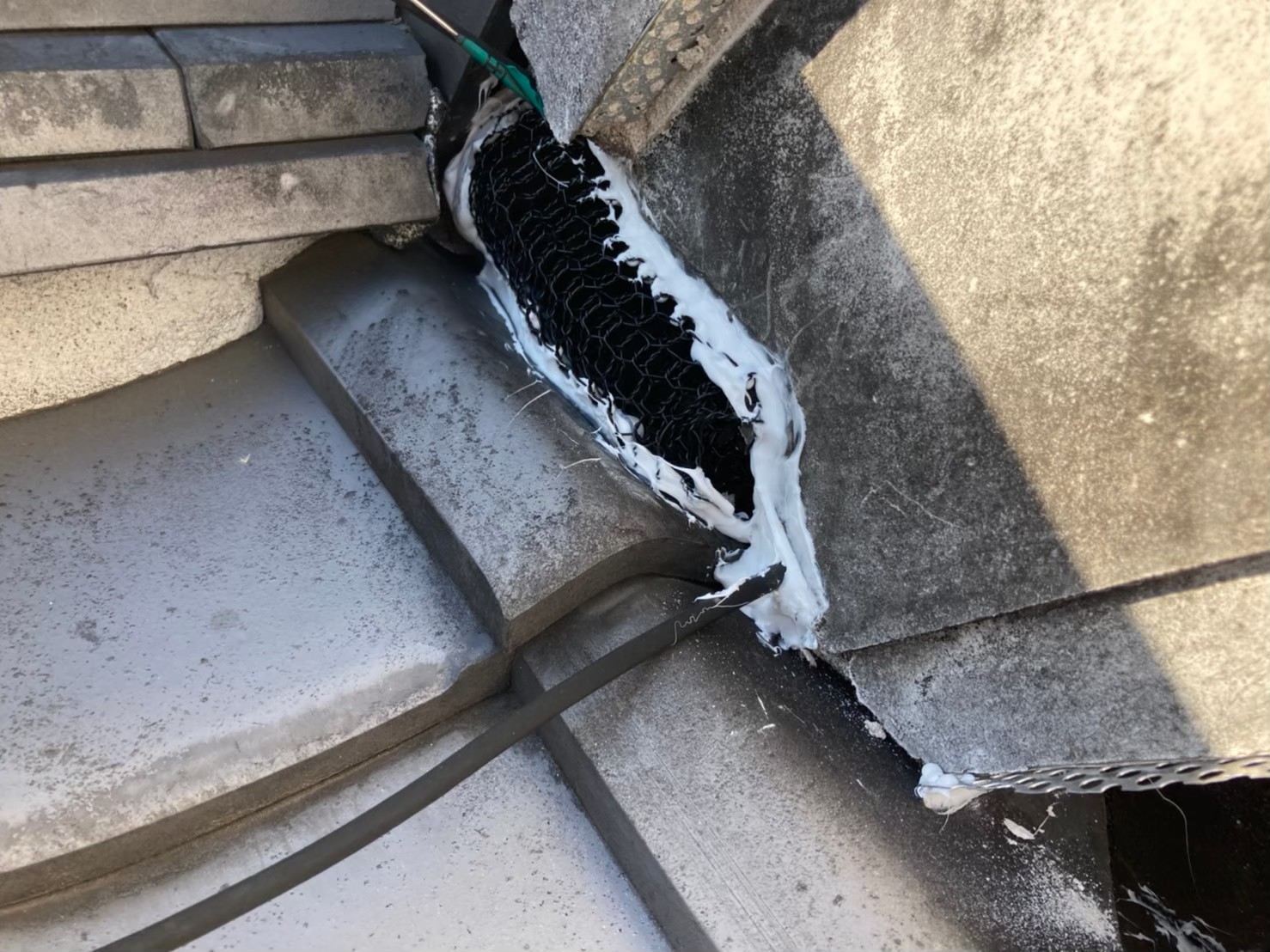 イタチによる被害　株式会社U　M様　駆除実績