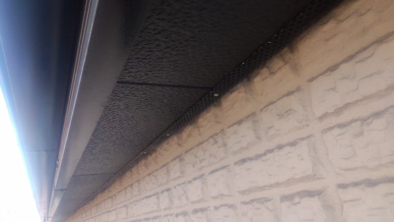 ネズミによる被害　S様邸　駆除実績