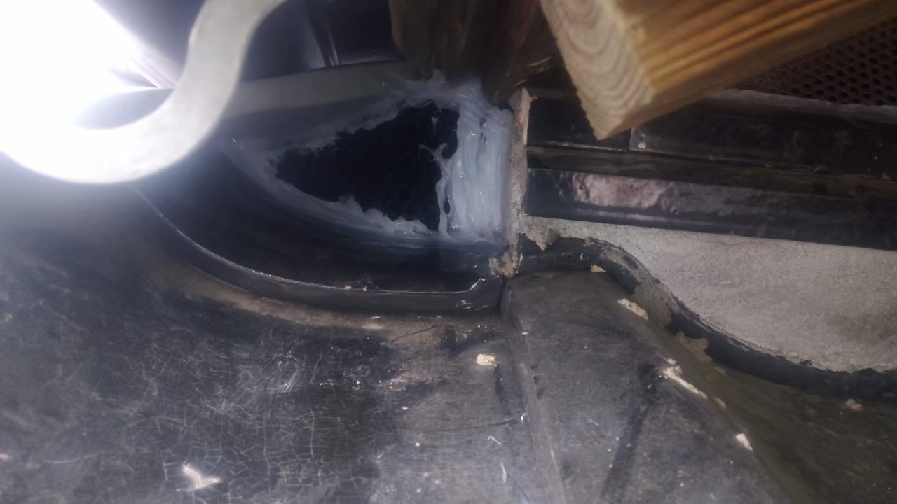 佐賀県神崎市　アライグマによる被害　株式会社T　M様　駆除実績