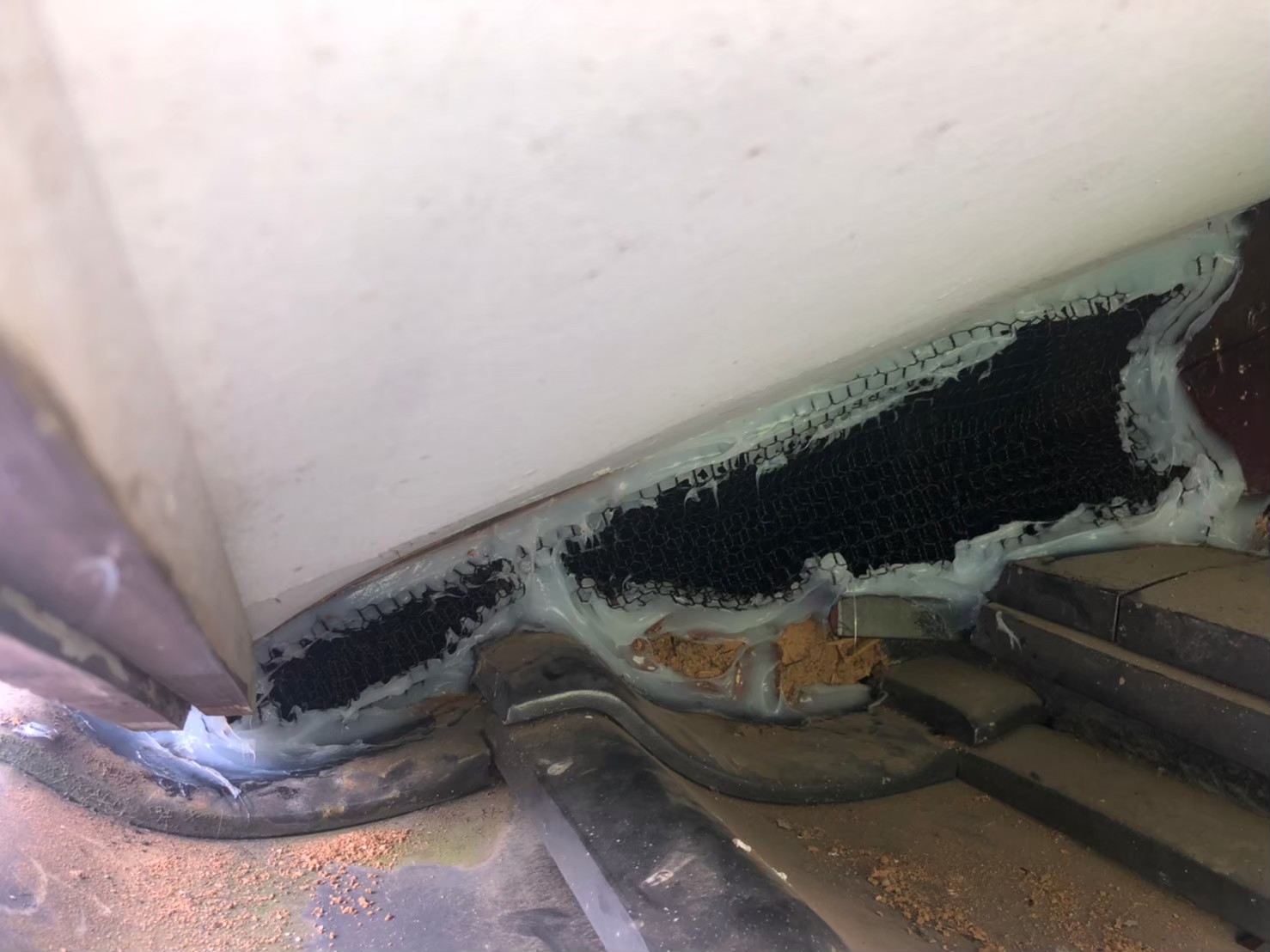 福岡県直方市　イタチによる被害　H様邸　駆除実績