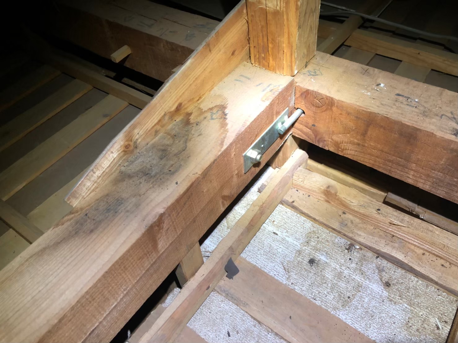 佐賀県佐賀市　イタチによる被害　H様邸　駆除実績