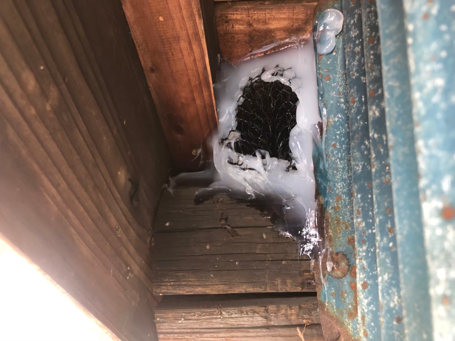 佐賀県小城市　イタチによる被害　A様邸　駆除実績