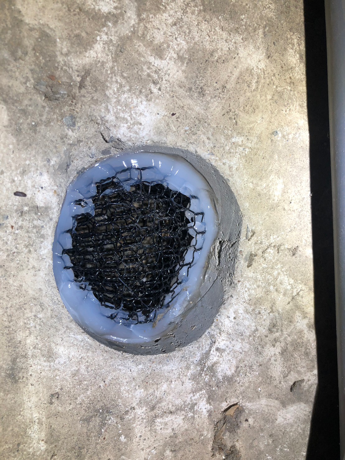 佐賀県神埼市　アライグマによる被害　G様邸　駆除実績