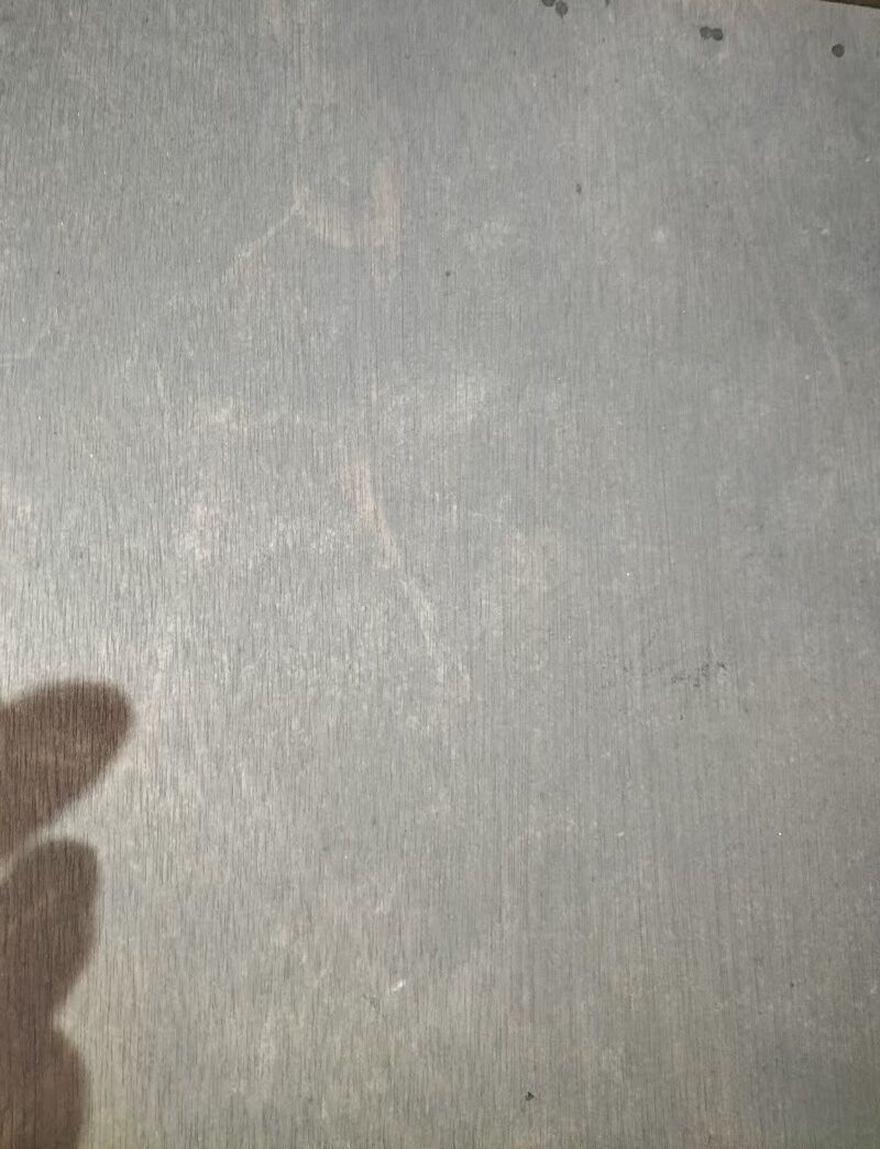 福岡県筑紫野市　ネズミによる被害　A様邸　駆除実績