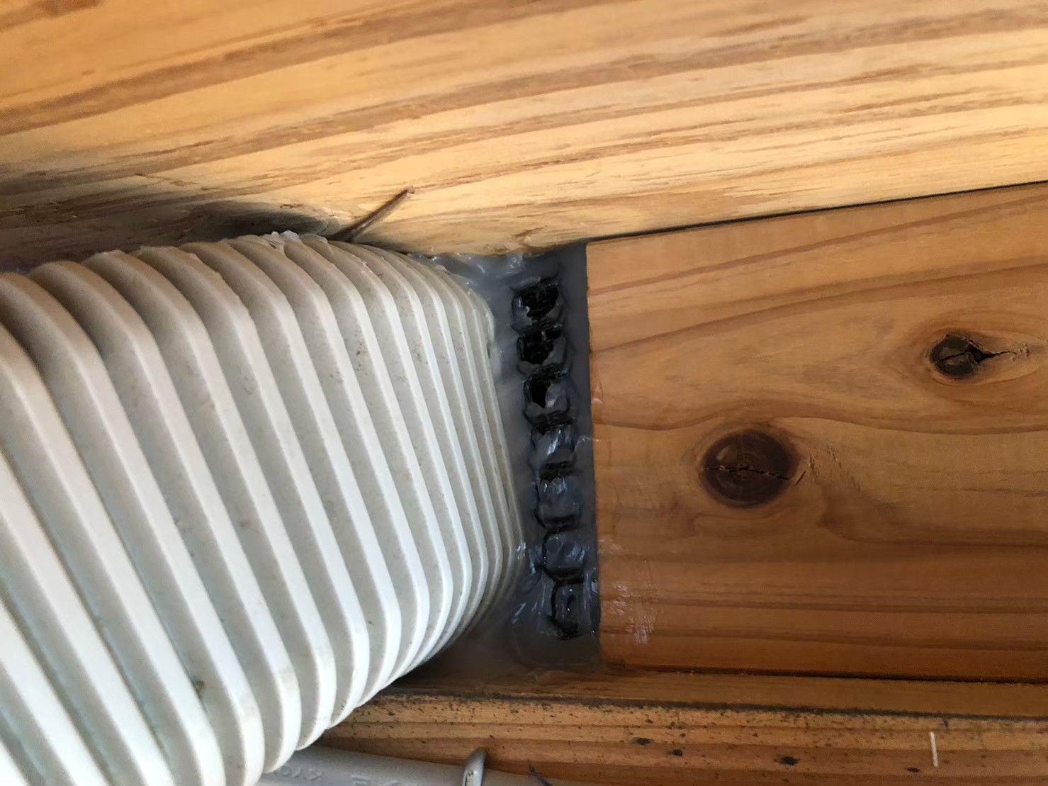 佐賀県小城市　ネズミによる被害　K様邸　駆除実績