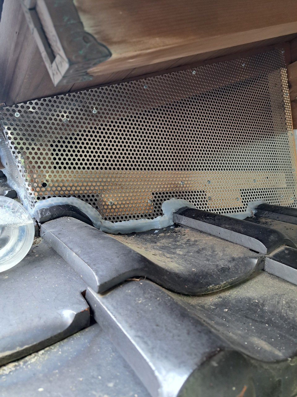 福岡県飯塚市　イタチによる被害　F様邸　駆除実績