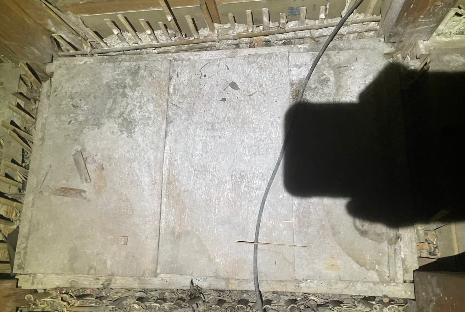 佐賀県神崎市　アライグマによる被害　M様邸　駆除実績