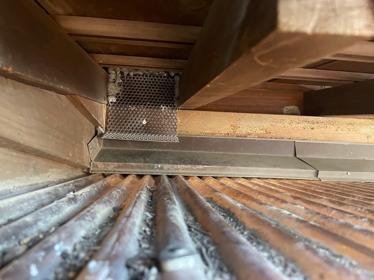 佐賀県佐賀市　アライグマによる被害　T様邸　駆除実績