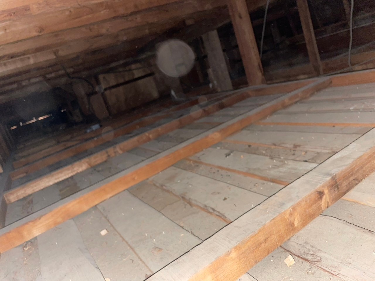 福岡県北九州市　アライグマによる被害　E様邸　駆除実績