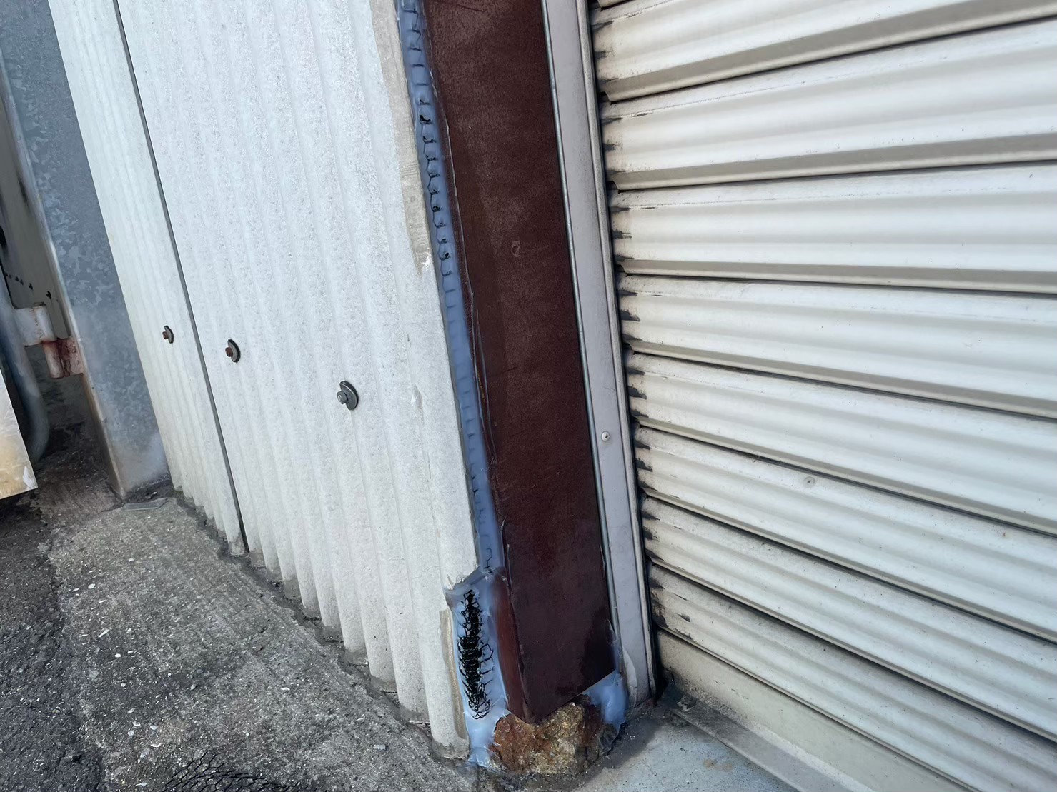 佐賀県多久市　株式会社Z Y様　イタチによる被害　駆除実績