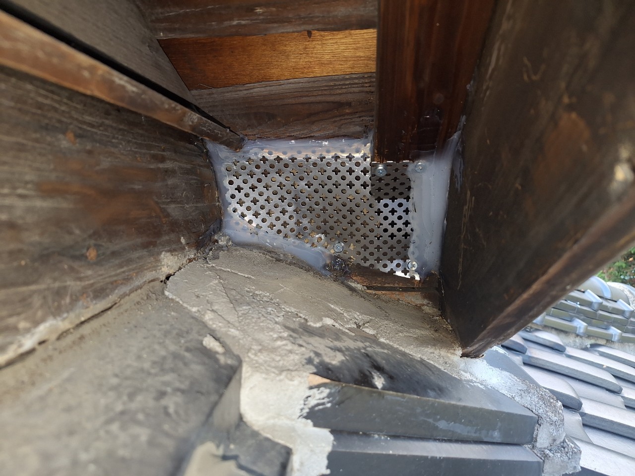 福岡県朝倉市　イタチによる被害　T様邸　駆除実績