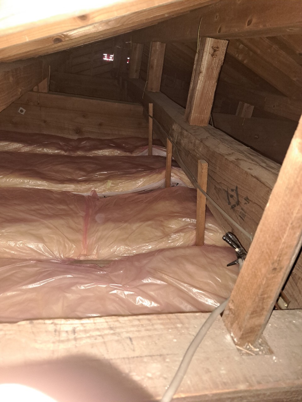 福岡県太宰府市　ネズミによる被害　S様邸　駆除実績