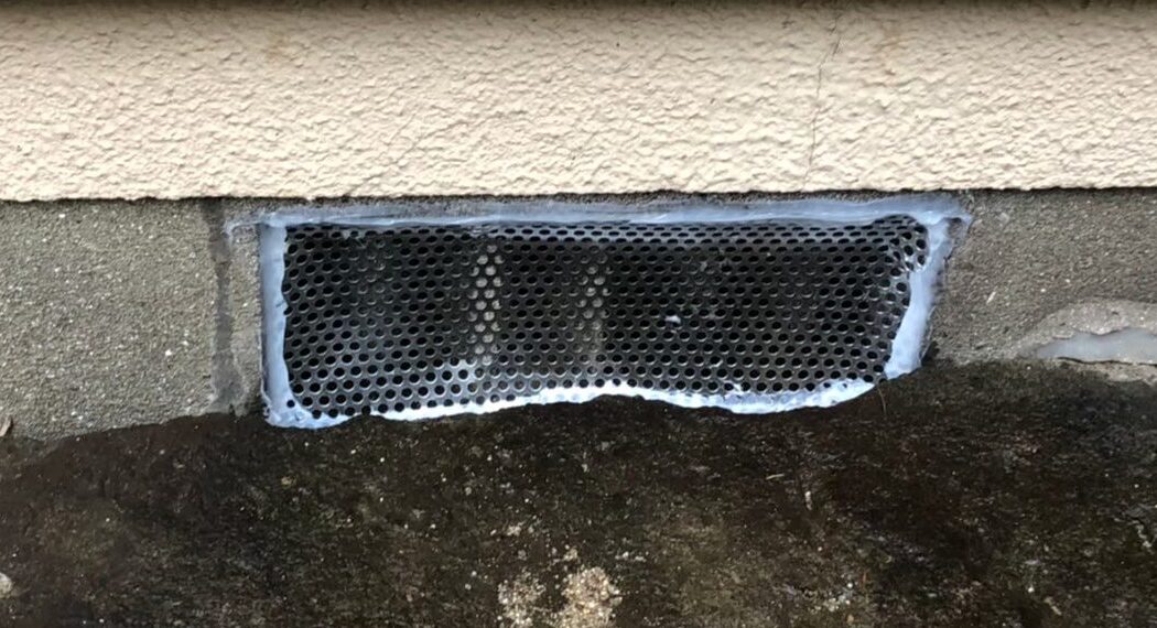 コウモリによる被害　H様邸　駆除実績